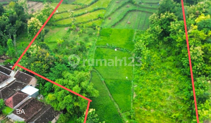 Dijual Zona Kuning Perumahan Masaran Sragen