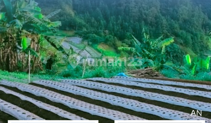 Dijual Tanah Lokasi Tawangmangu Karanganyar Dekat Grojogan Sewu