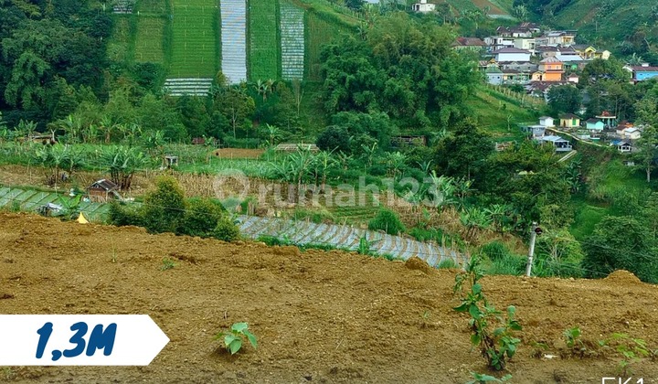 Land for Sale, Tegal Status, Location Tawangmangu