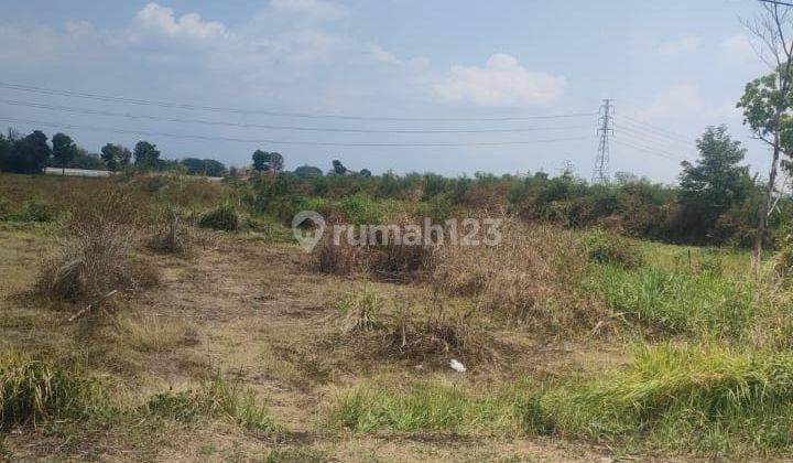 Sawah Dekat Jalan Tol Jogja-Solo  2