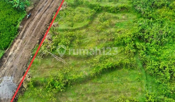 Dijual Tanah di Kawasan Perumahan Kedungjeruk