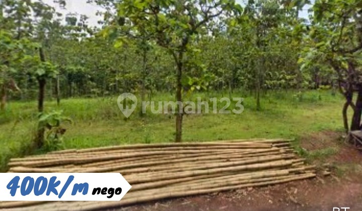 Agricultural Land for Sale in Manyaran, Wonogiri. Agricultural Land for Sale in Manyaran, Wonogiri.