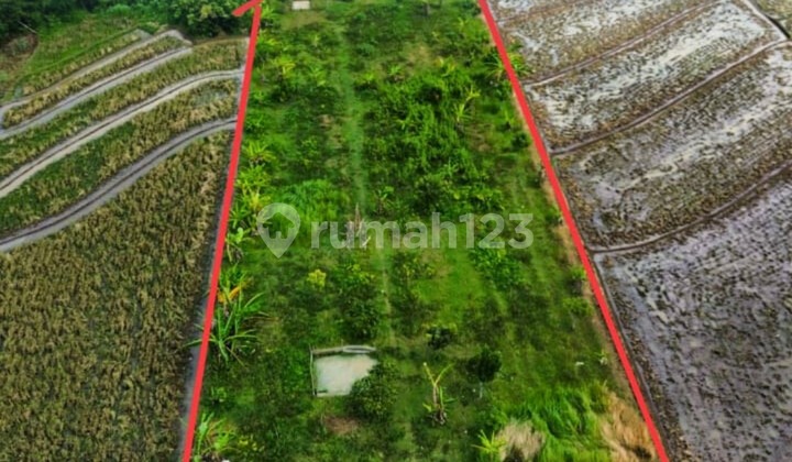 Dijual Tanah Pekarangan Selatan Alun2 Karanganyar