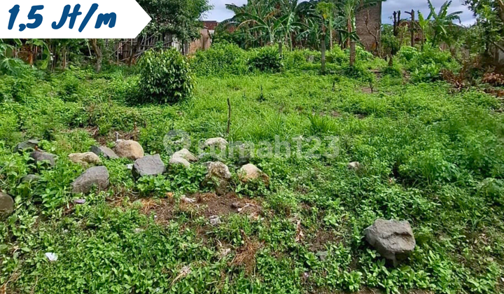 Land for Sale Location Jatipuro, Trucuk, Klaten Land for Sale Location Jatipuro, Trucuk, Klaten