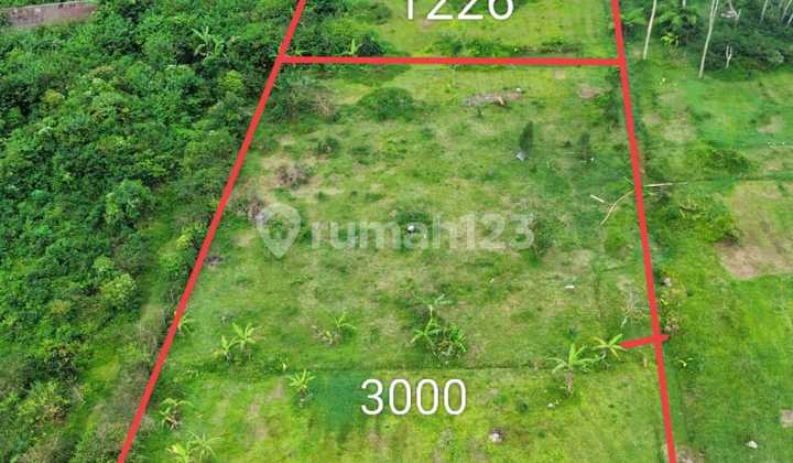 Tanah Strategis di Sekipan, Investasi Menjanjikan di Kawasan Wisata 