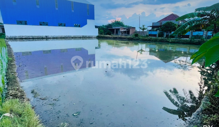 Dijual Tanah Lokasi Dibal Pandeyan Dijual Tanah Lokasi Dibal Pandeyan