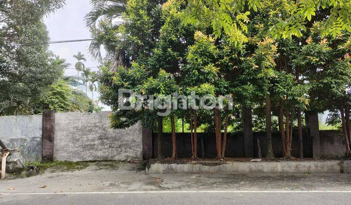 Tanah Singosari simpang Demak  2