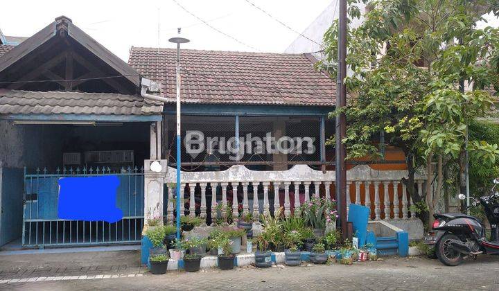 Rumah Nyaman di Rewwin jalan Garuda 1