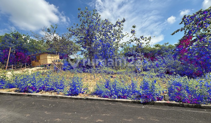 Tanah Kavling Premium Di Ungasan