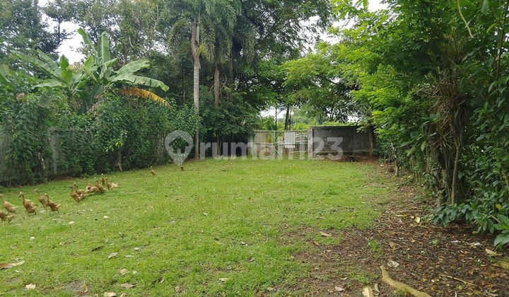 FOR SALE QUICK! Land in Legok, Jl. Raya Rancaiyuh, Tangerang Regency, Banten