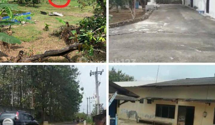 Tanah/kavling 11.5h Dijual Murah Di Semanu Yogyakarta 1