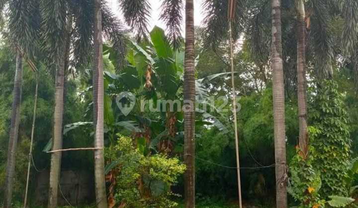 Dijual Rumah Mewah 2 LT Dibawah NJOP Pejaten Jakarta Selatan