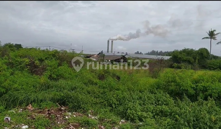 Dijual Tanah Industri 2ha Milik Pt Serang Tanah HGB Dijual Tanah Industri 2ha Milik Pt Serang Tanah HGB