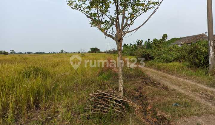 Dijual Tanah. Dekat Irigasi. Dijual Tanah. Dekat Irigasi.