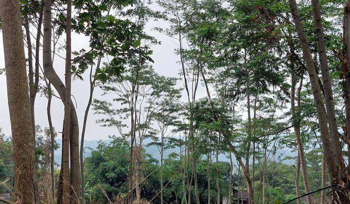 Jual Tanah Kavling Di Puncak 2 Lokasi Straegis 2