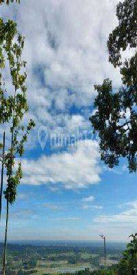 Jual Tanah Kavling Kebun Produktif Di Puncak 2 1