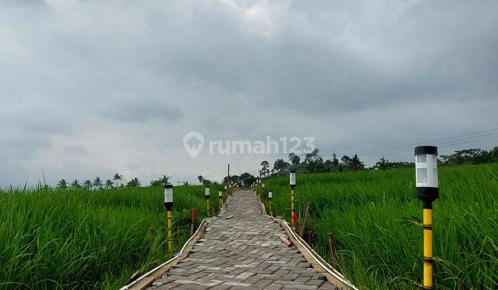 Jual Kavling Sawah Lokasi Bogor Timur Nempel Jalur Provinsi 2