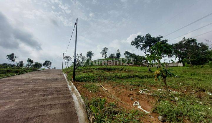 Kavling Sawah Shm Di Kawasan Bogor Timur Dekat Dengan Wisata