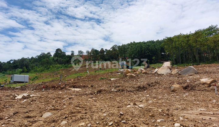 Jual Tanah Kavling 90 Menit Dari Jakarta Di Bogor Timur Jual Tanah Kavling 90 Menit Dari Jakarta Di Bogor Timur