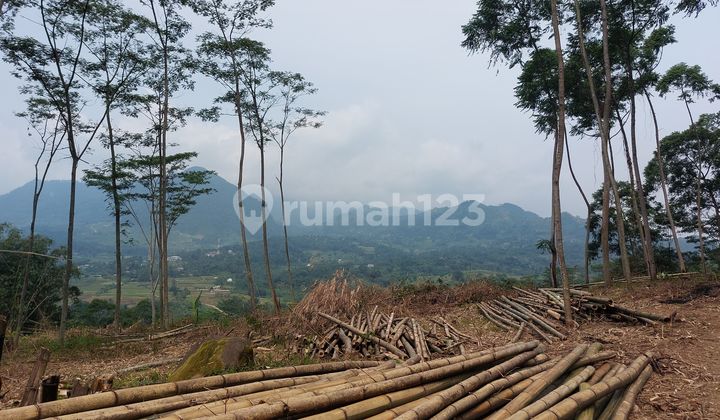 Jual Tanah Kavling Di Puncak 2 Nempel Jalur Alternatif Wisata