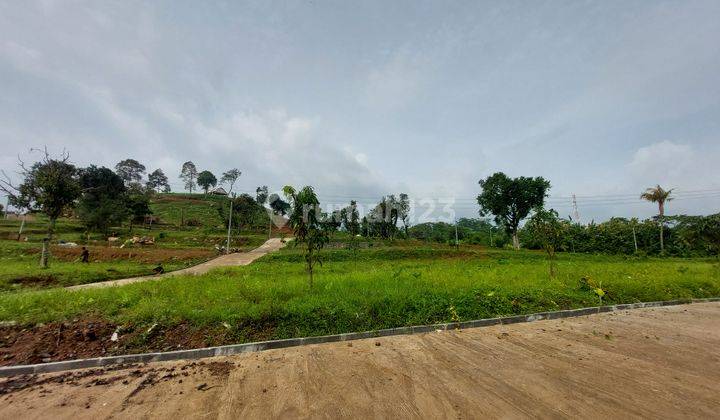 Jual Kavling Sawah Lokasi Strategis Nempel Jalan Provinsi 1