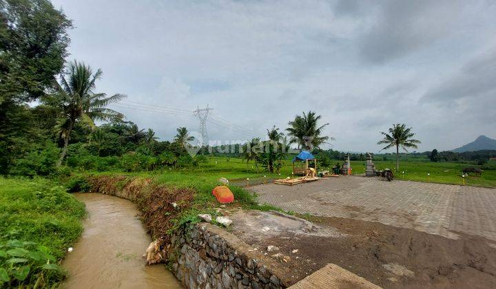 Jual Kavling Sawah Lokasi Strategis Nempel Jalan Provinsi 2