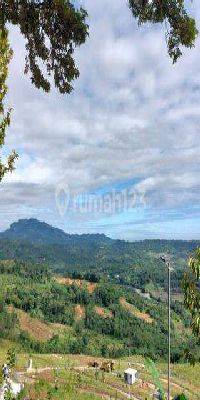 Jual Kavling Kebun Produktif Di Puncak 2 Bogor 1