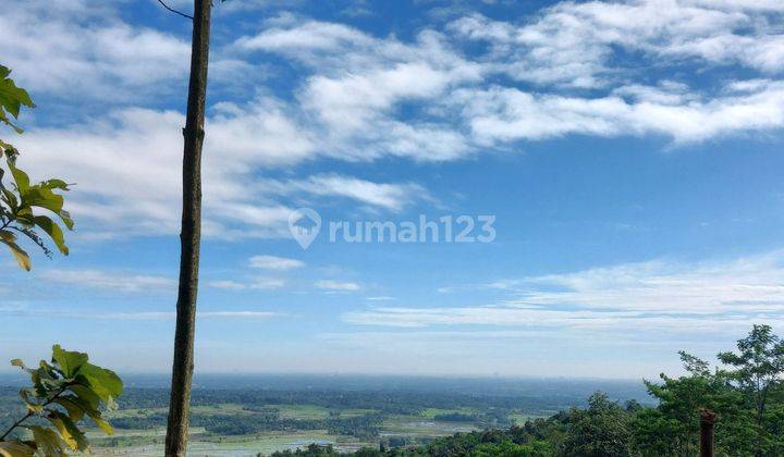 Jual Kavling Kebun Produktif View Indah Di Puncak 2 1