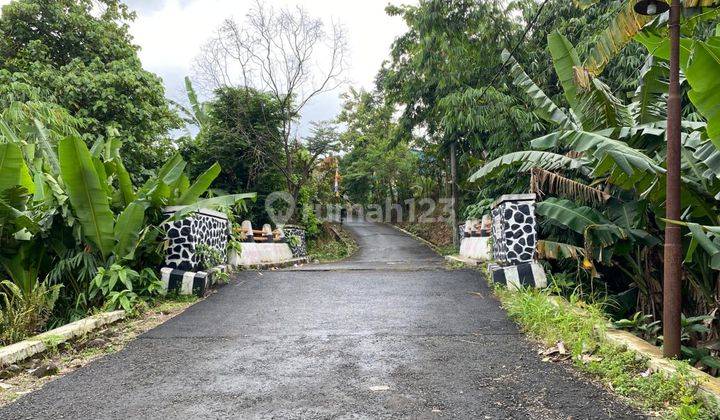 Jual Tanah Kavling Lokasi strategis dekat Kampus IPB Free SHM 1