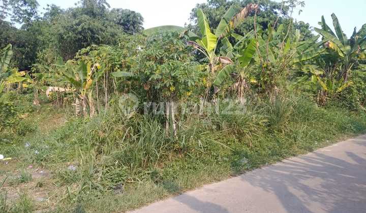 Kaveling Pondok Rajeg Akses Strategis Legalitas SHM