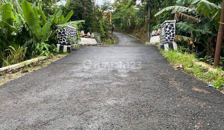 Jual Tanah Kavling Lokasi strategis dekat Kampus IPB Free SHM 2