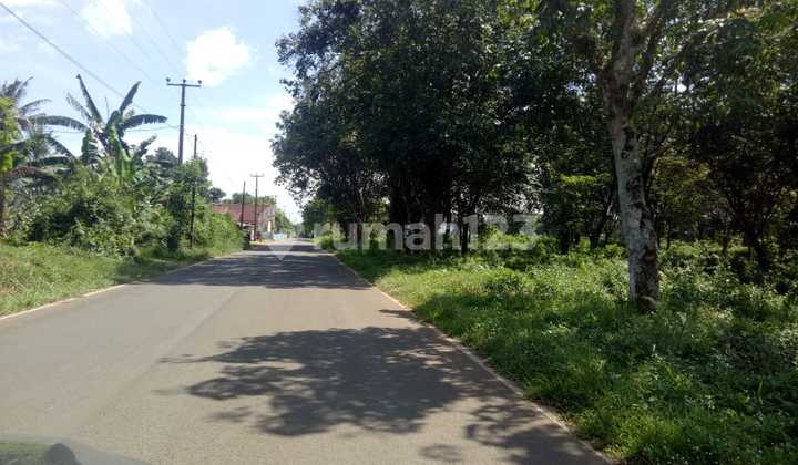 Rumpin Bogor Plot, the Best Investment in Bogor, SHM Legality, Interest-Free Installments. Rumpin Bogor Plot, the Best Investment in Bogor, SHM Legality, Interest-Free Installments.