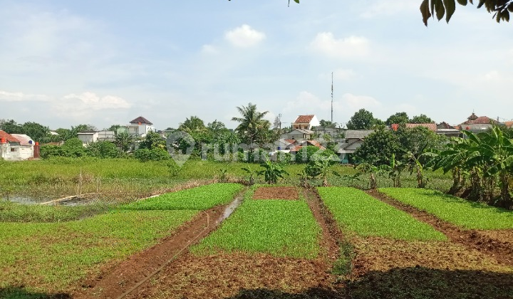 5 Minutes to Cilebut Station, SHM Legal Plot, Interest-Free Installment. 5 Minutes to Cilebut Station, SHM Legal Plot, Interest-Free Installment.