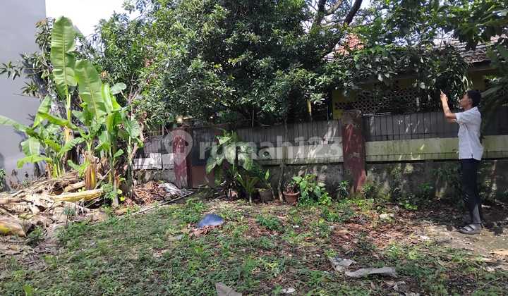 10 minutes to Hari-Hari Supermarket, Ciomas Bogor Plot, Free Certificate of Ownership, Installment Without Interest. 10 minutes to Hari-Hari Supermarket, Ciomas Bogor Plot, Free Certificate of Ownership, Installment Without Interest.