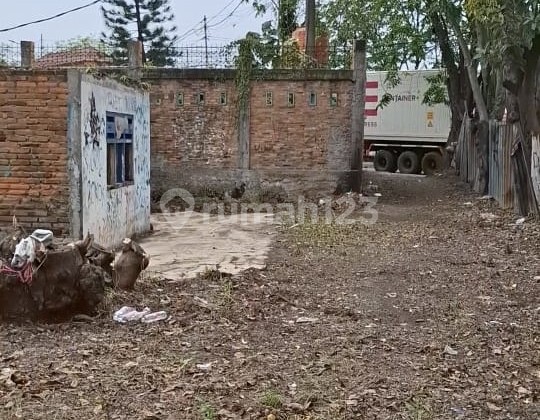 MURAH !! DISEWA KAVLING TANAH TUGU SEMPER JAKARTA UTARA LUAS 700m MURAH !! DISEWA KAVLING TANAH TUGU SEMPER JAKARTA UTARA LUAS 700m