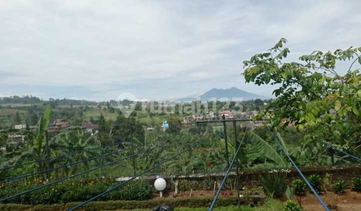Land for sale in Puncak Bogor, suitable for building residences or hotels. Land for sale in Puncak Bogor, suitable for building residences or hotels.