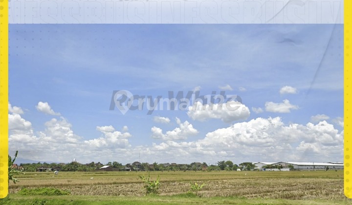 Dijual Tanah Sawah di Jaten, Karanganyar 1