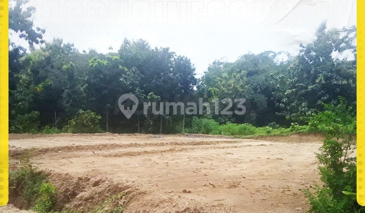 Dijual Tanah Murah di Pedesaaan Polokarto, Sukoharjo