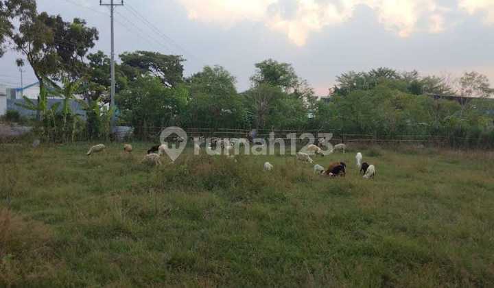 Large Industrial Land with Container Access for Rent in Tasikmadu, Karanganyar