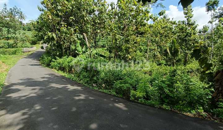 Dijual Tanah Murah Cocok Untuk Invest / Ternak di Jatipuro, Karanganyar