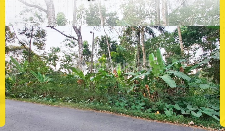 Tanah Kebun Luas 4554m² di Penggung Boyolali, Lebar 25m Tanah Kebun Luas 4554m² di Penggung Boyolali, Lebar 25m