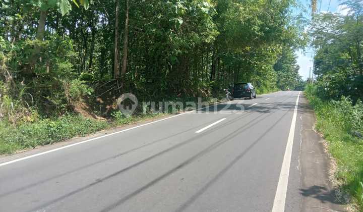 For Sale Strategic Land Beside DPU Road in Andong, Boyolali For Sale Strategic Land Beside DPU Road in Andong, Boyolali