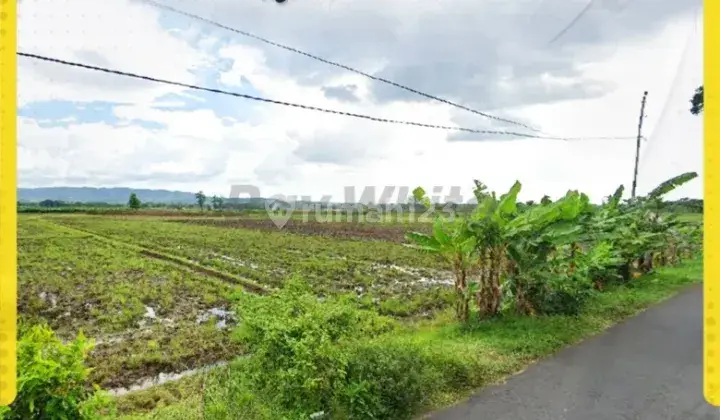 Dijual Tanah Sawah di Nguter, Sukoharjo 1