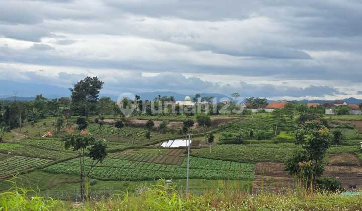 Plot Kbp Tatar Spatirasmi