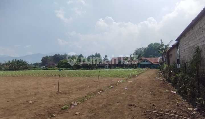 Jual Tanah Kavling Harga Murah Cibodas Maribaya Lembang Jual Tanah Kavling Harga Murah Cibodas Maribaya Lembang