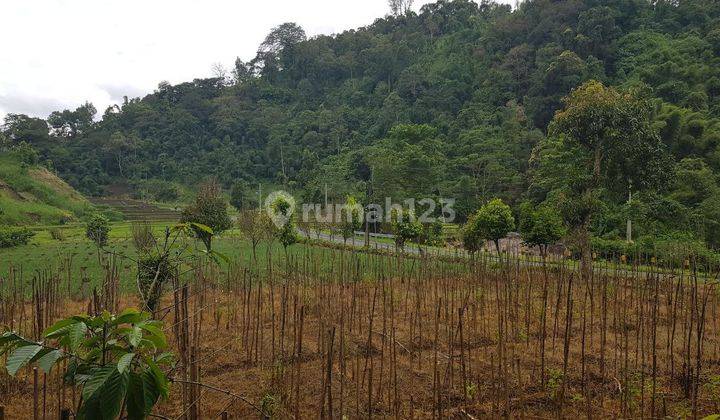 Dijual tanah diperbatasan ngantang pujon Brigjen  abdul mana wijaya Malang Batu. Jalan poros provinsi. 2