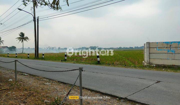 tanah 1
