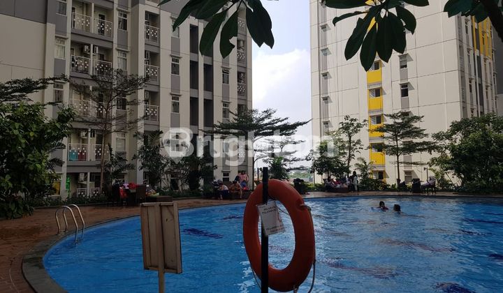 For Sale Springlike Apartment Summarecon Bekasi For Sale Springlike Apartment Summarecon Bekasi