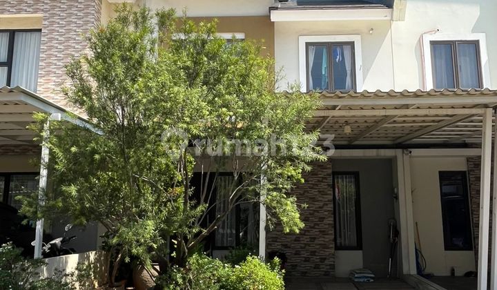 Rumah Siap Huni Cluster Serenity Bekasi Timur Rumah Siap Huni Cluster Serenity Bekasi Timur