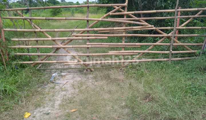 Dijual Tanah Strategis Pinggir Jalan Raya Cibarubah 